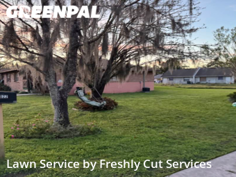 Grass Cutting nearby Lakeland, FL, 