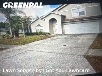 Lawn Mow nearby Clermont, FL, 