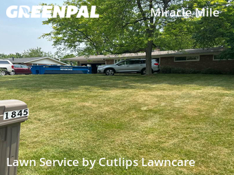 Yard Cutting nearby Springfield, OH, 