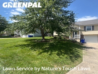 Lawn Cut nearby Lees Summit, MO, 