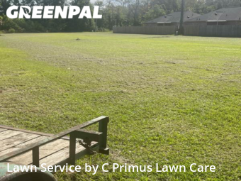 Lawn Mowing Service nearby Livingston, LA, 