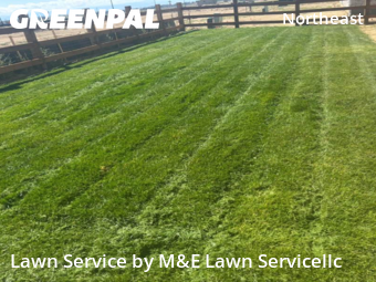 Grass Cuttingin Aurora,80019,Lawn Care by M&E Lawn Servicellc, work completed in Nov , 2025