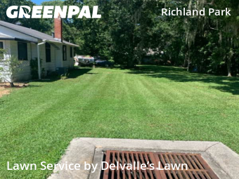Lawn Cut nearby Daytona Beach, FL, 