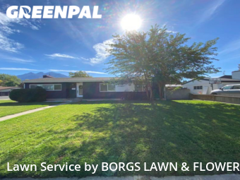 Grass Cut nearby Cottonwood Heights, UT, 