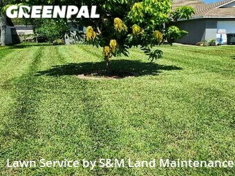 Grass Cutting nearby Leesburg, FL, 