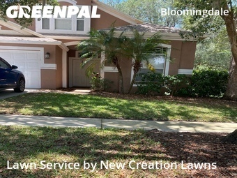 Grass Cutting nearby Valrico, FL, 