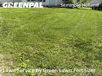 Yard Cutting nearby Springfield, MO, 