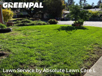 Work completed by local-lawn-cutting-services-in-Davis-CA