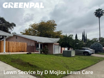 Work completed by lawn-care-experts-near-me-in-Citrus Heights-CA