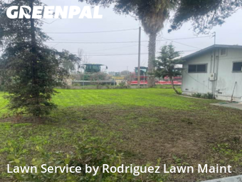 Work completed by the-yard-cutting-businesses-in-Tulare-CA