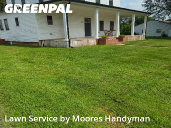 Lawn Upkeep in Magnolia, 19962, Lawn Management by Moores Handyman, work completed in Nov , 2025