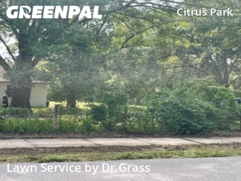 Yard Mowing nearby Tampa, FL, 