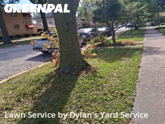 Yard Mowingin Oak Park,60304,Lawn Cutting by Dylan's Yard Service , work completed in Nov , 2025