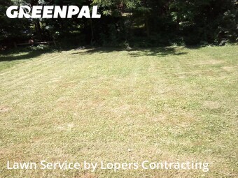 Lawn Mow nearby Enola, PA, 