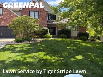 Lawn Cutting nearby Papillion, NE, 