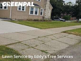 Commercial Landscaping In Grand Rapids,49505,Landscaping Renovation by Eddy's Tree Services, work completed in Jun , 2026