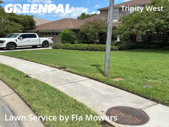 Yard Cutting nearby Trinity, FL, 