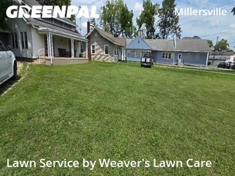 Yard Mowing nearby Indianapolis, IN, 