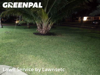 Lawn Mow nearby Wilton Manors, FL, 