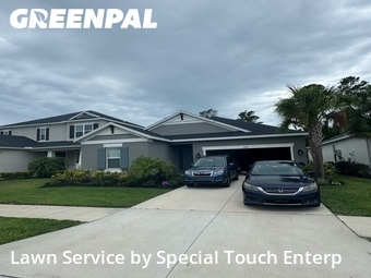 Lawn Mow nearby Palm Harbor, FL, 