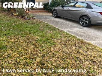 Grass Cut nearby Charlotte, NC, 