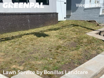 Lawn Mowing Service nearby Newark, NJ, 