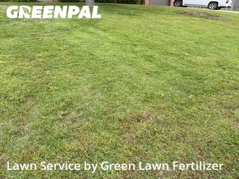 Lawn Maintenance nearby Springfield, MO, 