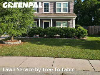 Lawn Maintenance nearby Charleston, SC, 