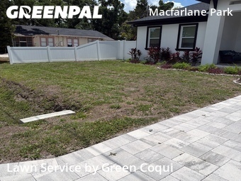 Lawn Cut nearby Tampa, FL, 