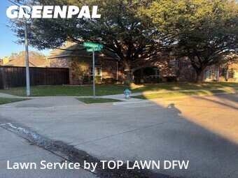 Grass Cut nearby Plano, TX, 