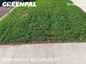 Yard Cutting nearby Toledo, OH, 