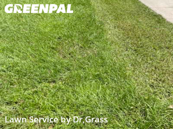 Lawn Maintenance nearby Tampa, FL, 