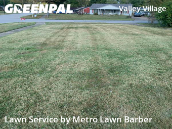 Grass Cut nearby Louisville, KY, 