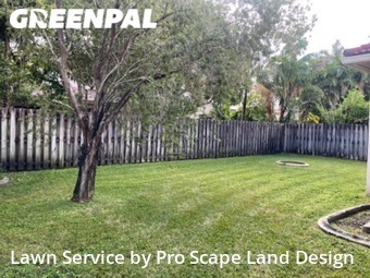 Yard Cutting nearby Davie, FL, 