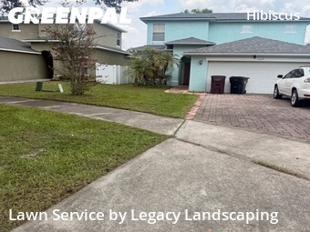 Yard Cutting nearby Orlando, FL, 