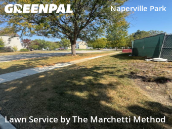 Grass Cutin Naperville,60540,Lawn Care by The Marchetti Method, work completed in Nov , 2025