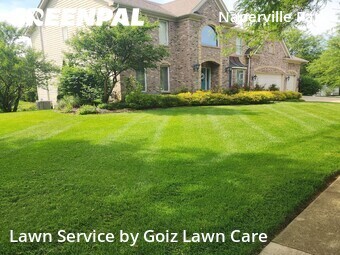 Lawn Maintenancein Naperville,60565,Yard Mowing by Goiz Lawn Care, work completed in Jun , 2026