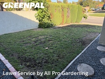 Grass Cut nearby West Covina, CA, 