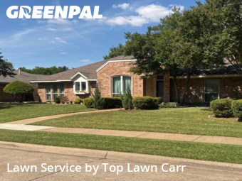 Lawn Servicein Richardson,75082,Lawn Mowing by Top Lawn Carr, work completed in Dec , 2025