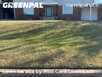 Yard Cutting nearby Oklahoma City, OK, 