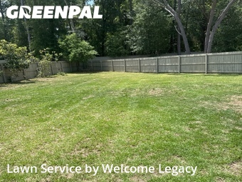 Lawn Cutting nearby Gainesville, FL, 