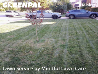 Weed Trimming in Ann Arbor, 48103, Yard Cutting by Mindful Lawn Care, work completed in Nov , 2025