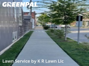 High Quality Yard Mowing nearby St. Louis, MO, 63110