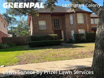 Lawn Servicein Missouri City,77459,Lawn Care by Prizel Lawn Services, work completed in Dec , 2025