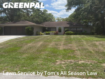 Lawn Maintenance nearby Spring Hill, FL, 