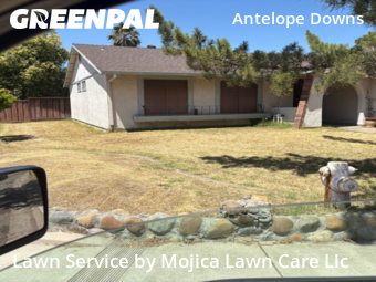 Work completed by professional-lawn-care-service-in-Citrus Heights-CA