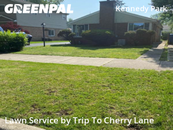 Lawn Care nearby Chicago, IL, 
