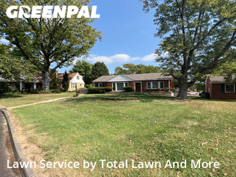 Lawn Cutting nearby Webster Groves, IL, 