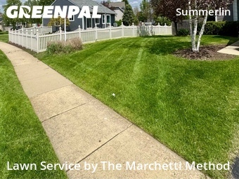 Grass Cut nearby Aurora, IL, 