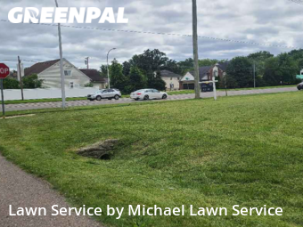 Yard Cutting nearby Livonia, MI, 